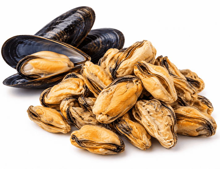 Raw Half Shell Blue Mussel - Totally Raw