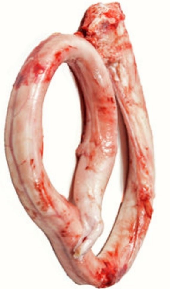 Beef Pizzles 2lbs Colton Pickup - Totally Raw