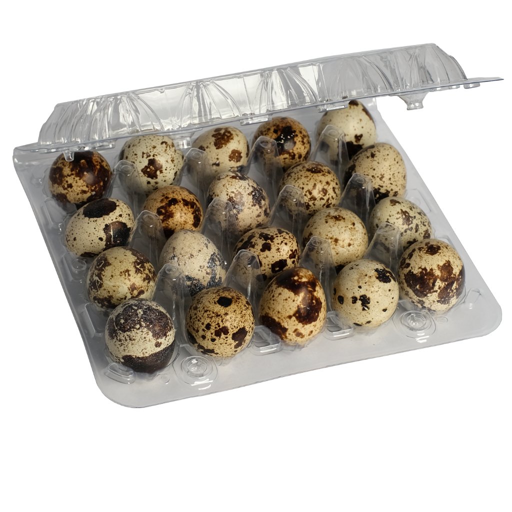 Freeze Dried Quail Eggs - Totally Raw