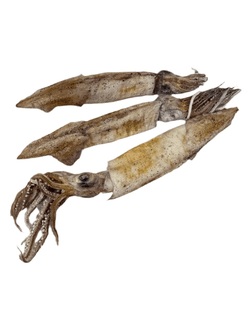 Freeze Dried Squid - Totally Raw
