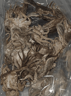 Freeze Dried Subscription Box - Totally Raw