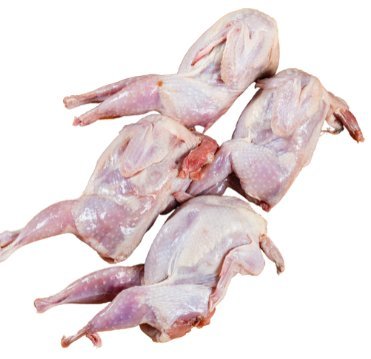 Quails Stuffed with Green Tripe - Totally Raw