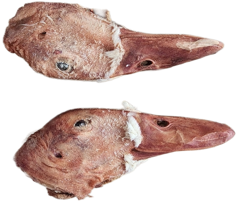 Freeze Dried Duck Heads