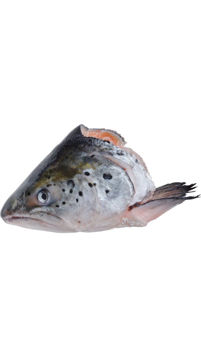 1 Salmon Head - Happee Dawg