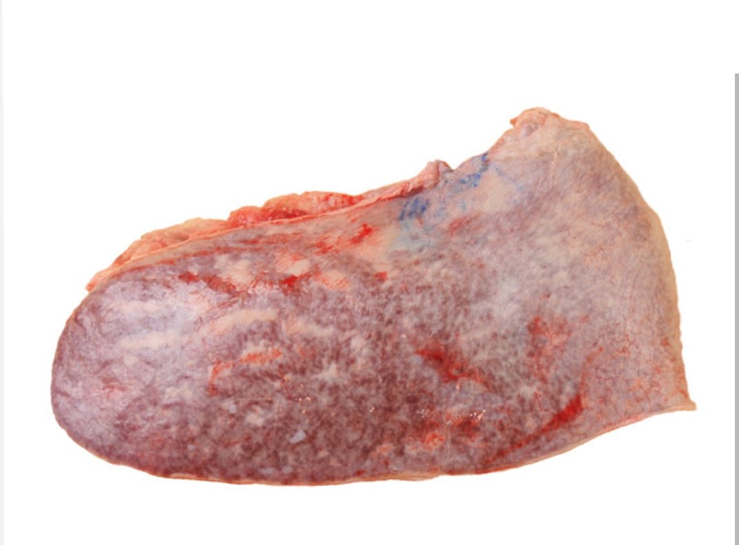 Bulk Beef Spleen approx 30 lbs. (Pickup Only) - Happee Dawg